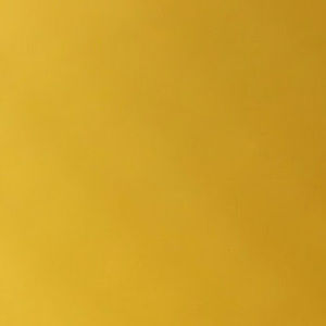 Meet your Posher, Antonio